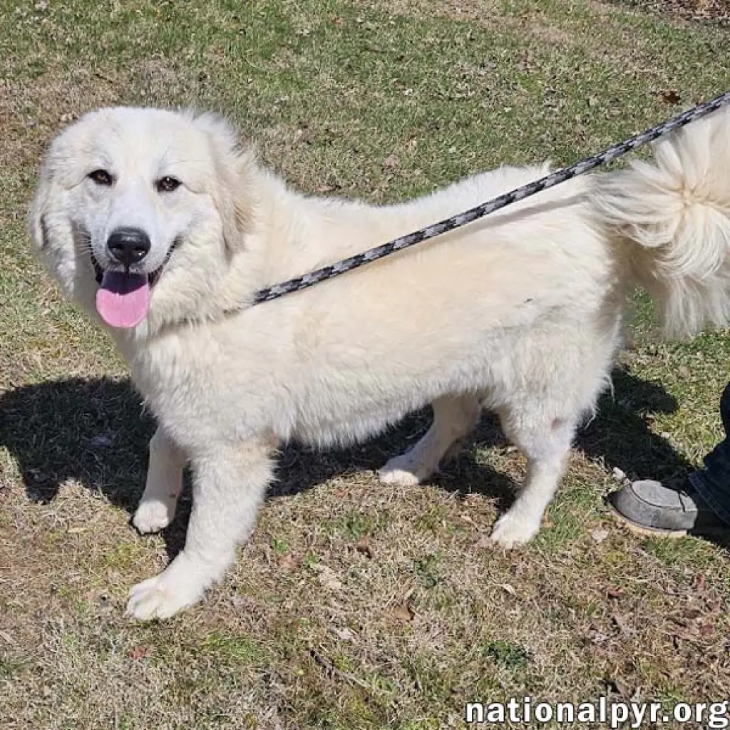 Luna in NJ - Gives Sweet Kisses!