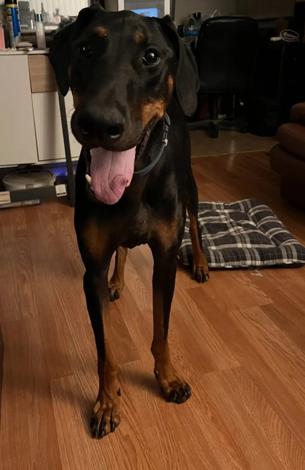 Zeke