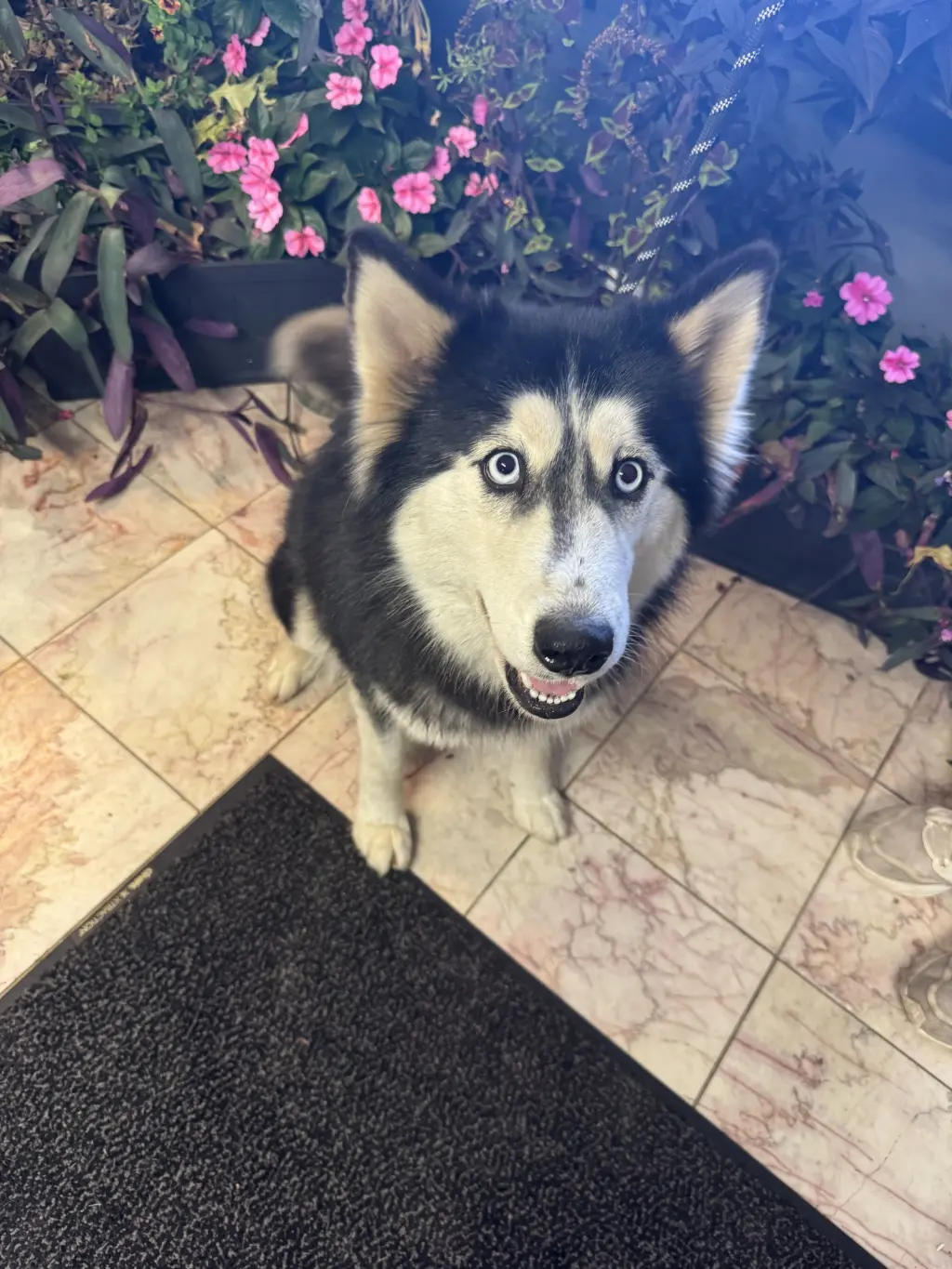 Seyla