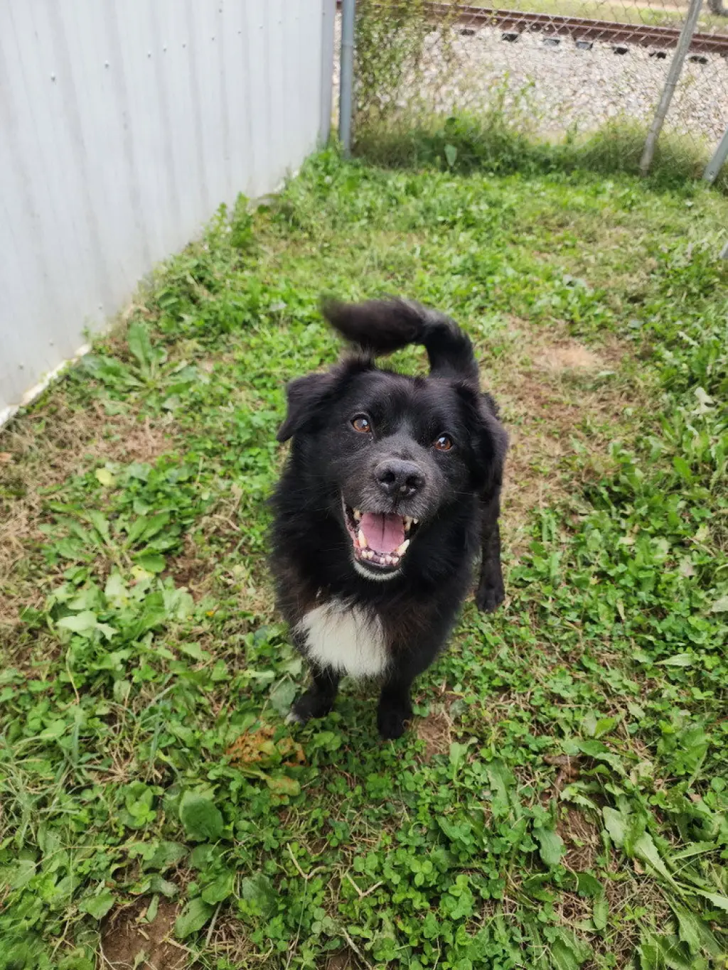 Max