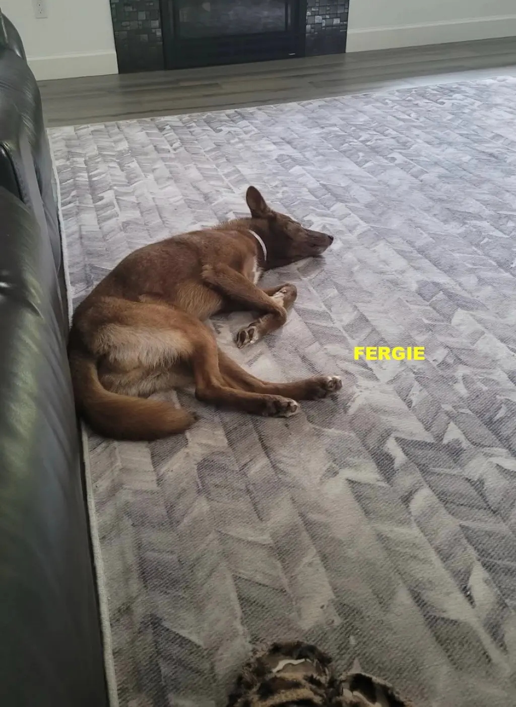 FERGIE