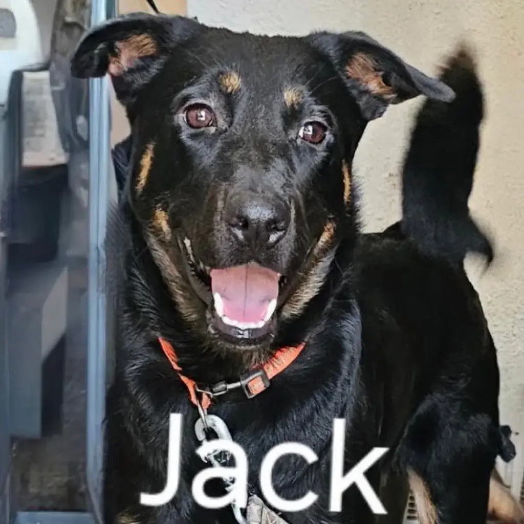 Jackson