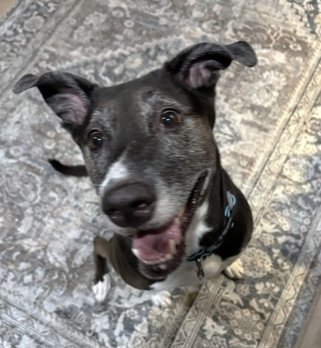 Rosie