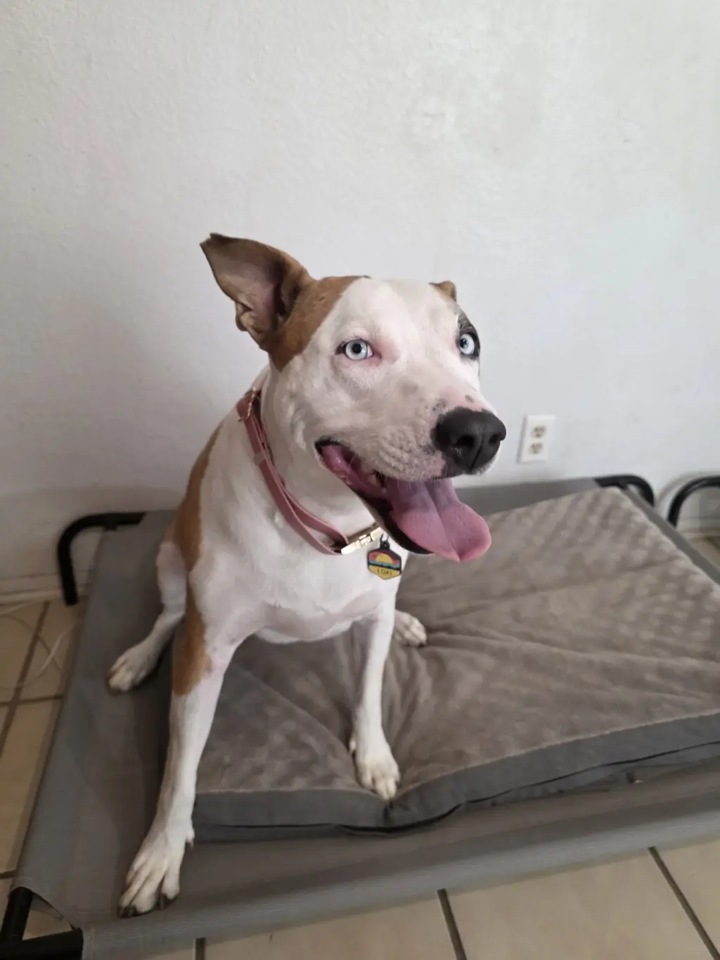 LOKI #11