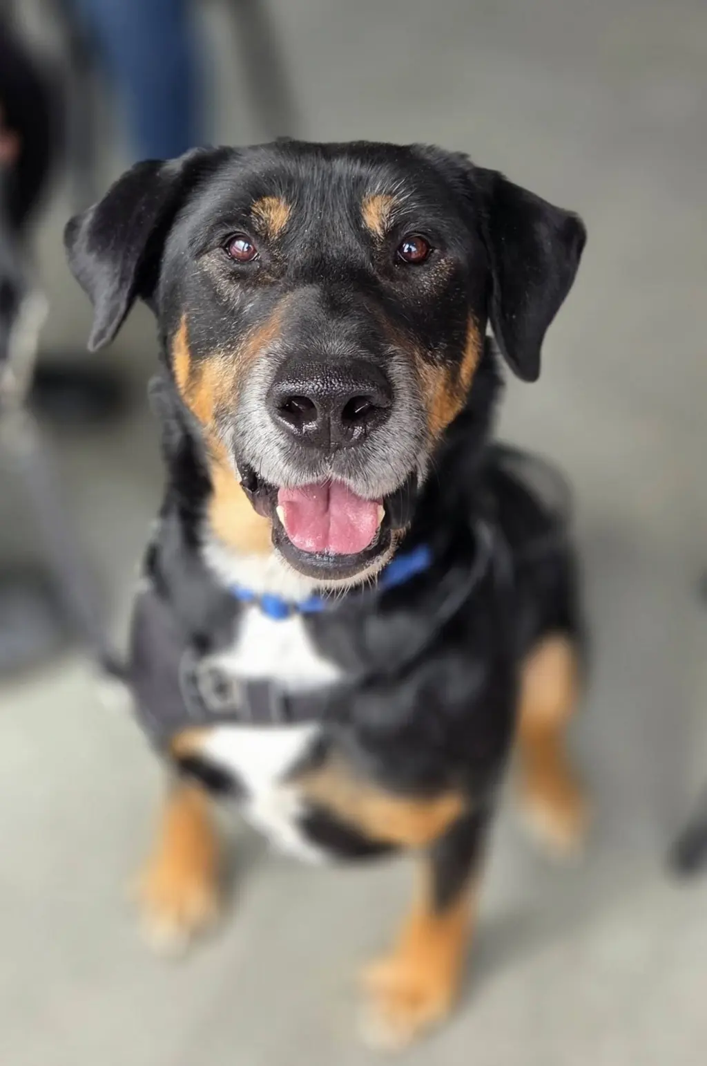 Rubble--Foster needed!
