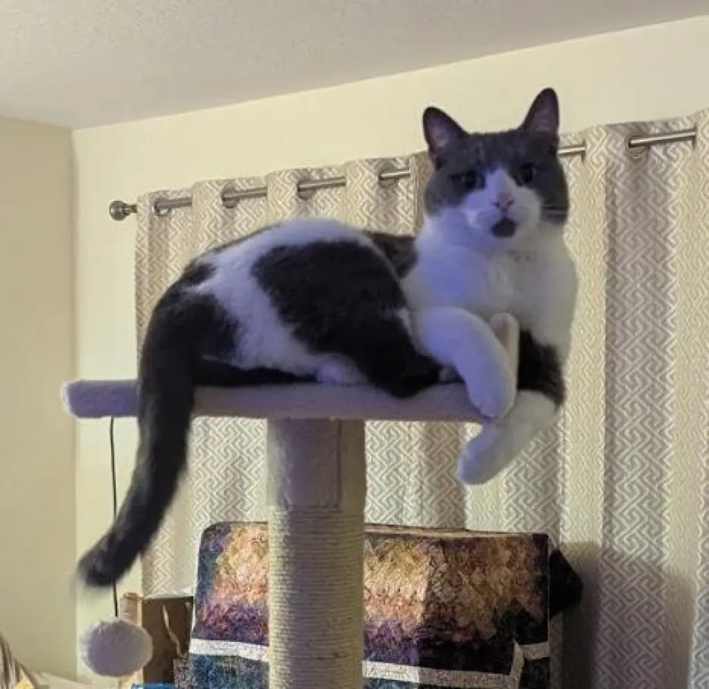 binx