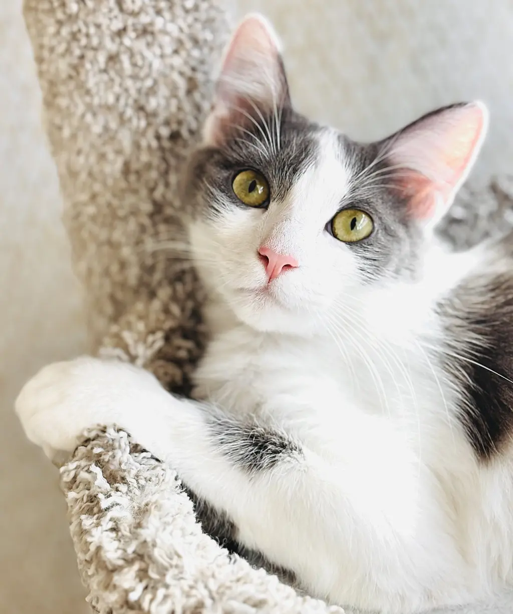 Delilah