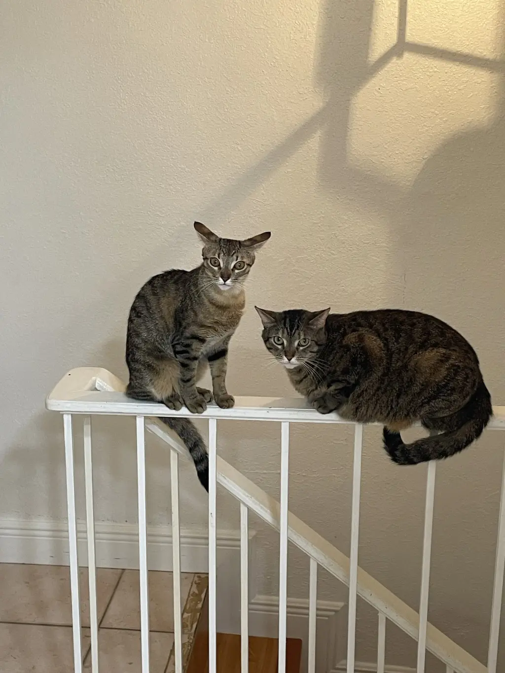 COURTESY POST: Ivy & Missou (Mom & Daughter)