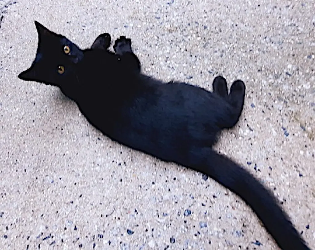 Archimedes