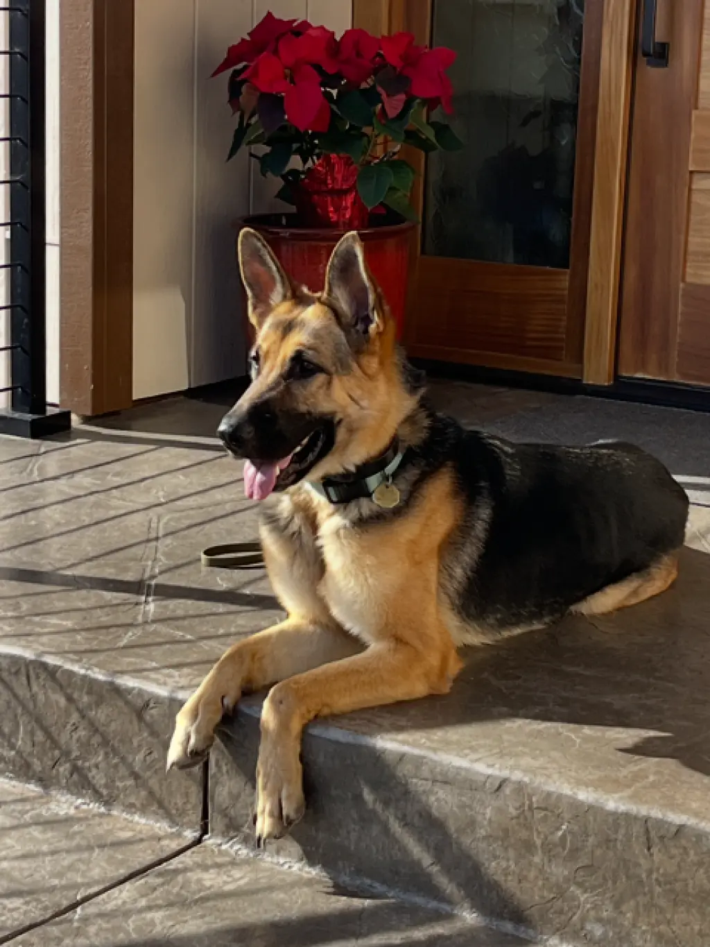Josie C.