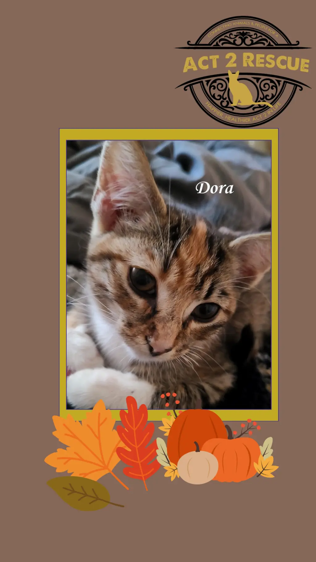 Dora