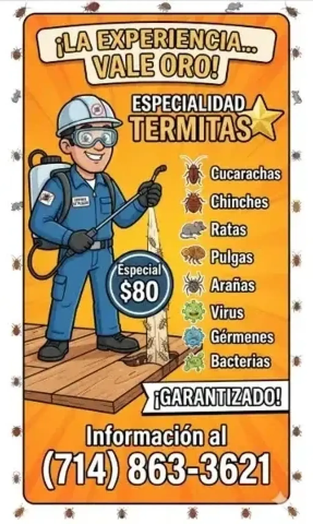 🚚Especial $80. Cucarachas 🪳