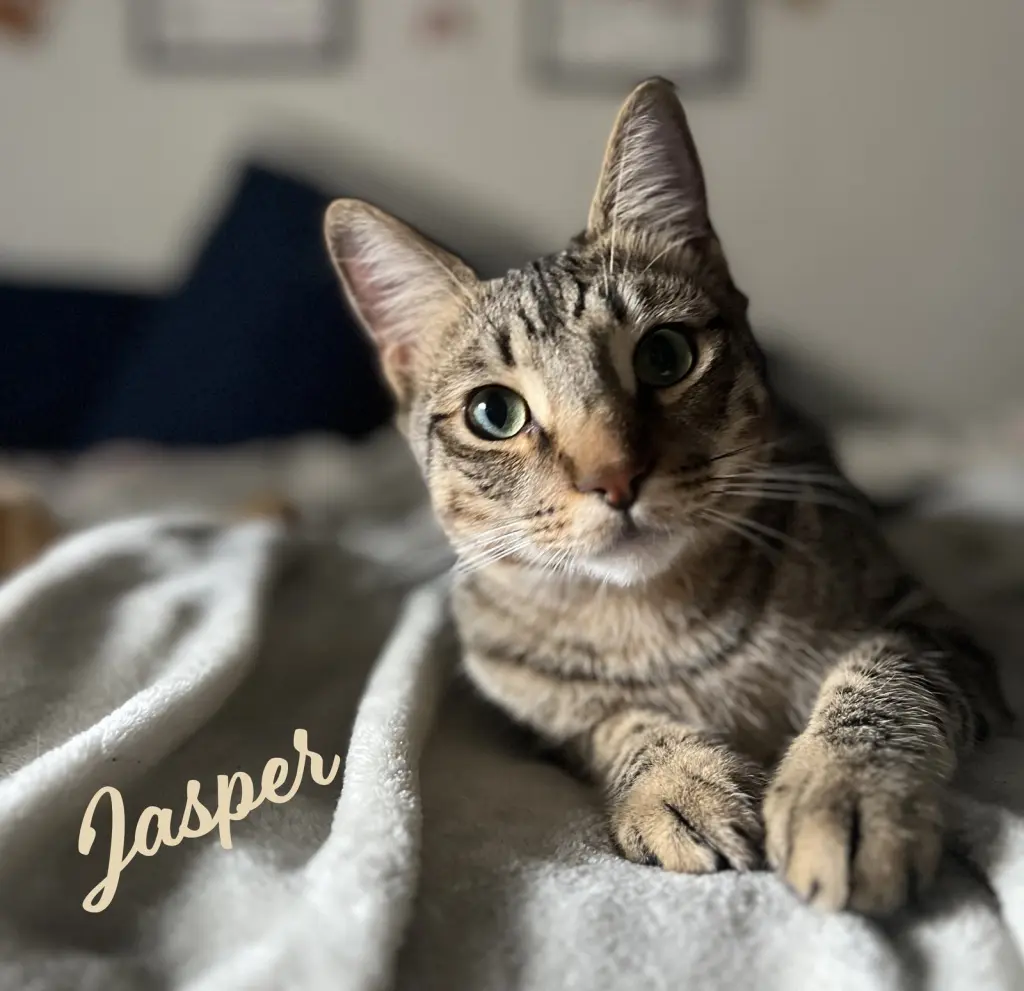Jasper #bonded-to-Karma