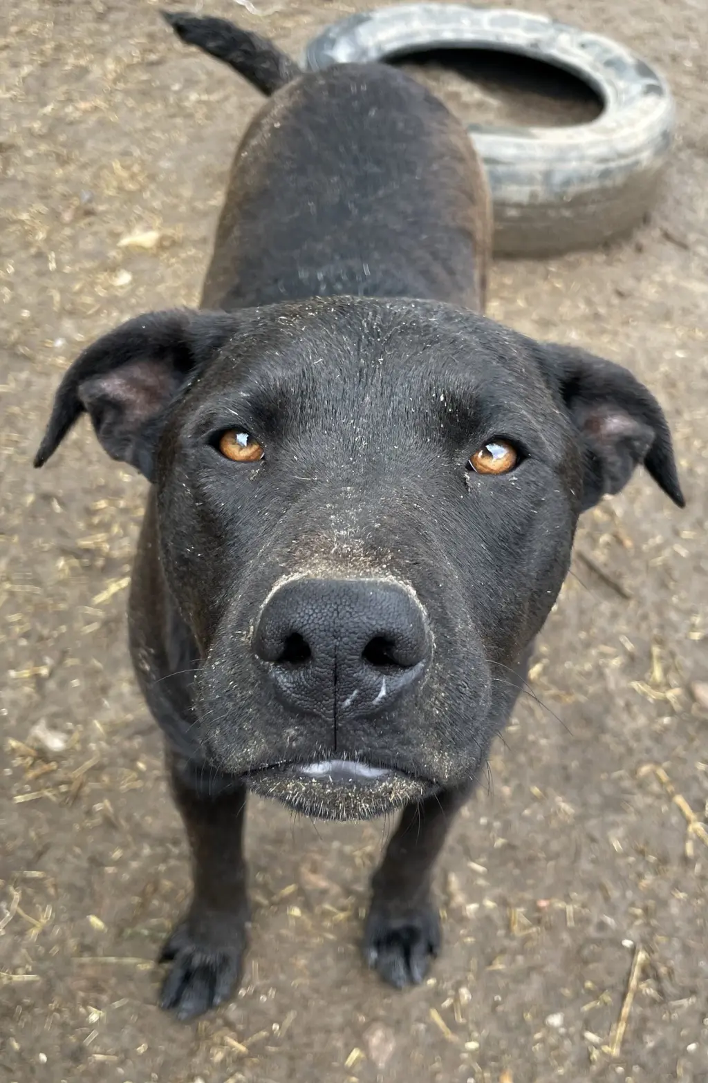 Max