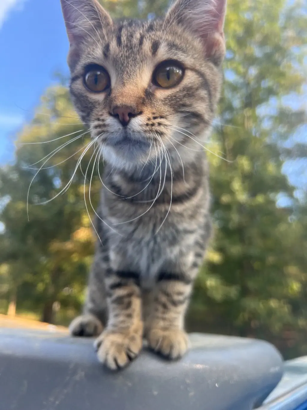 Little One