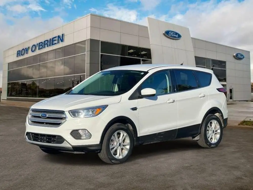 Ford Escape 2019 AWD SE 4dr SUV