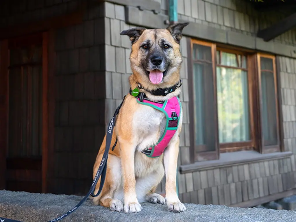 KONA