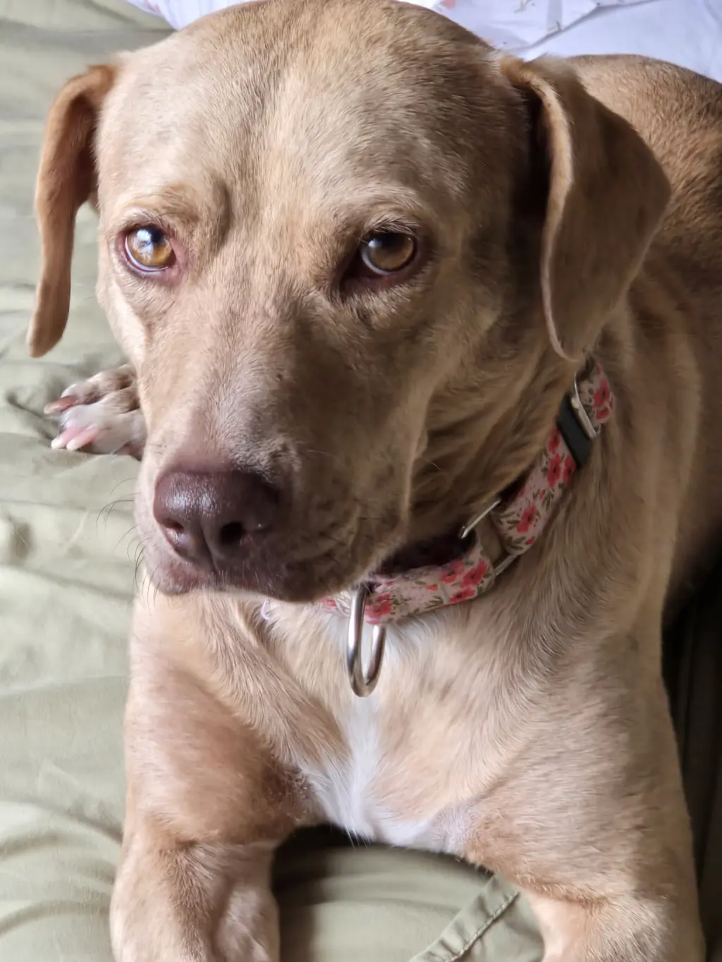 Sadie