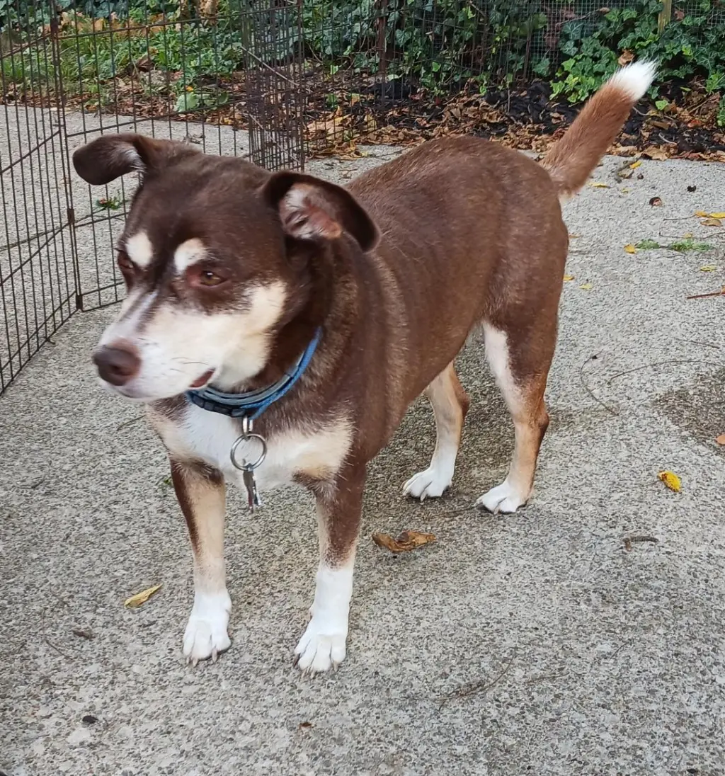 *Riley - Courtesy Listing