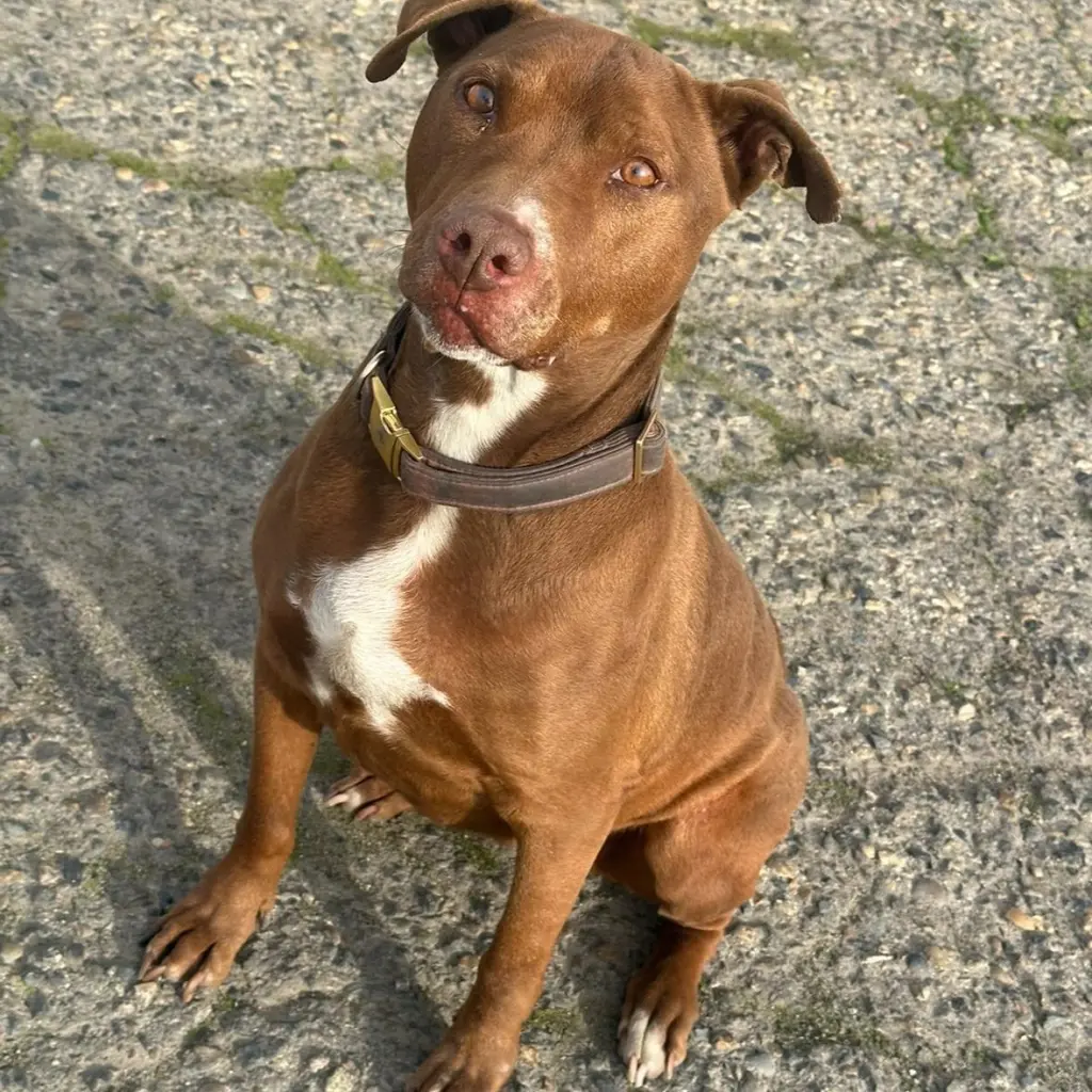 Luna