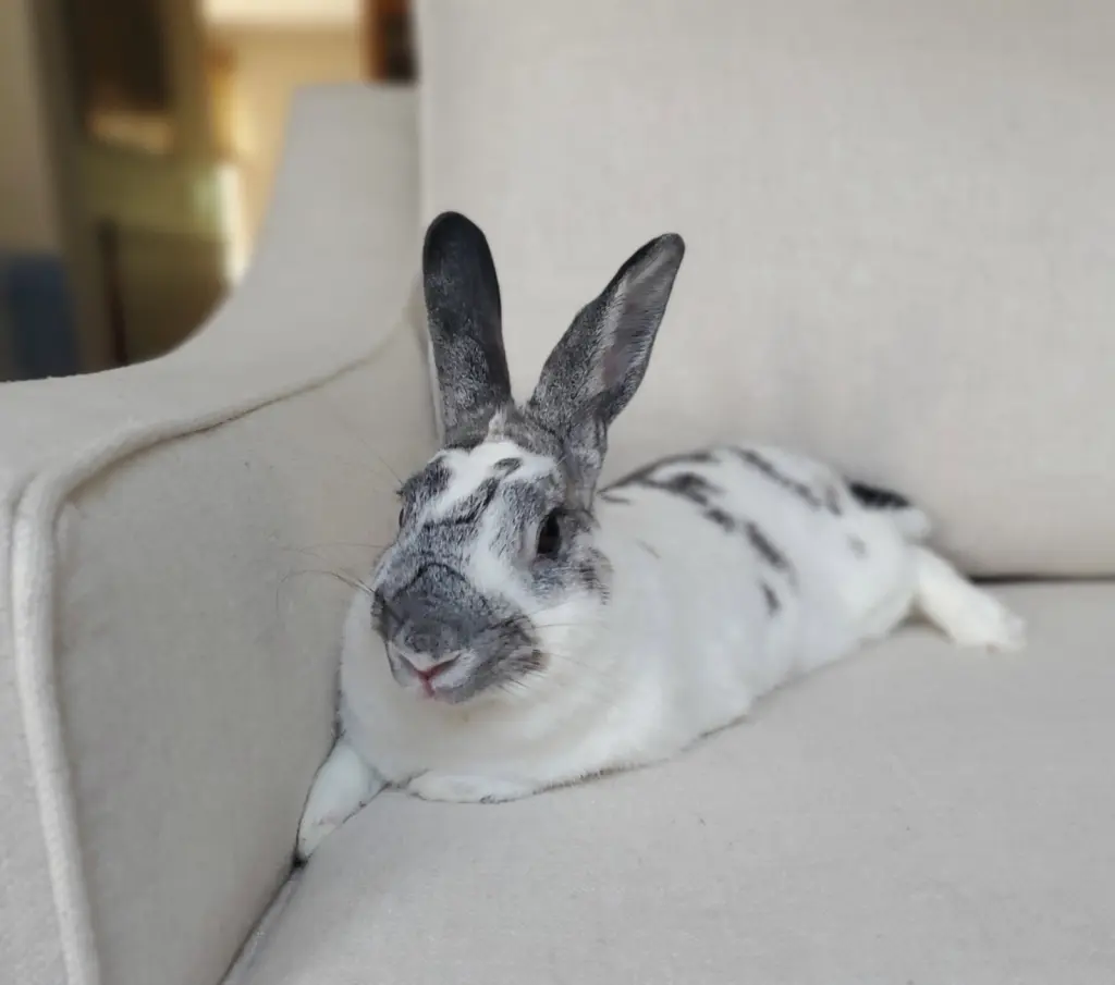 Marble