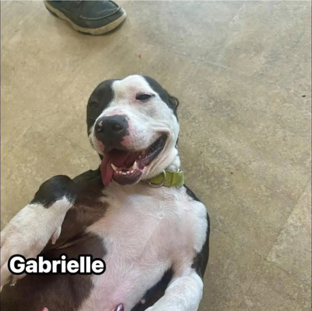 GABRIELLE