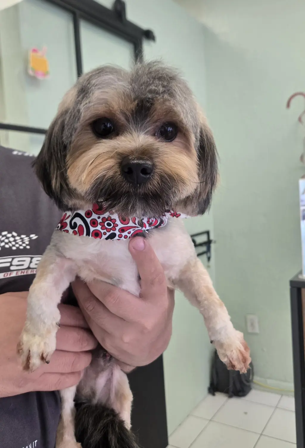 COURTESY POST: Lucas