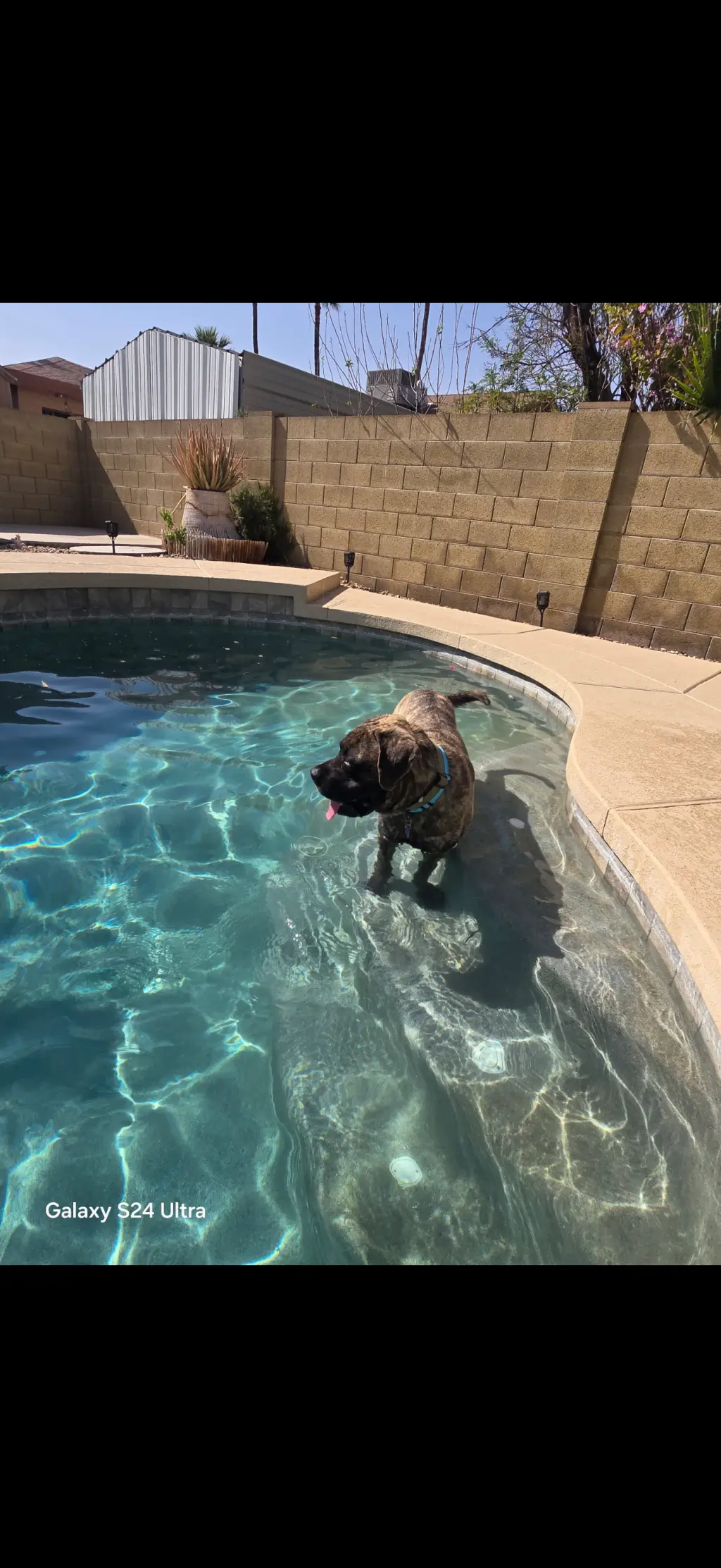 EARP - ADOPTION PENDING