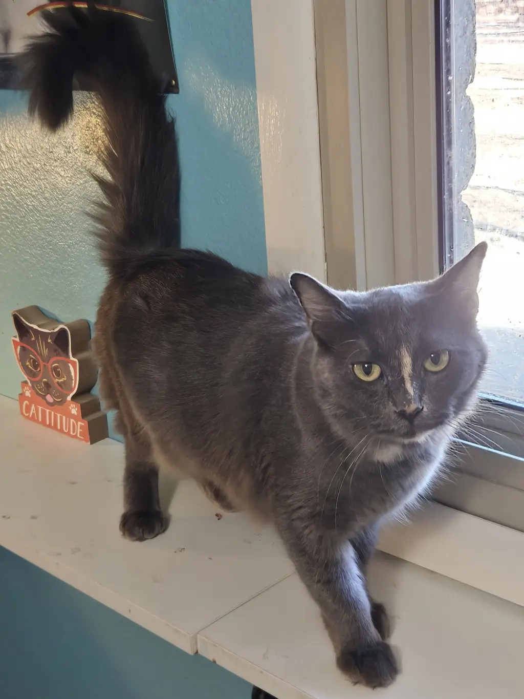 Delilah