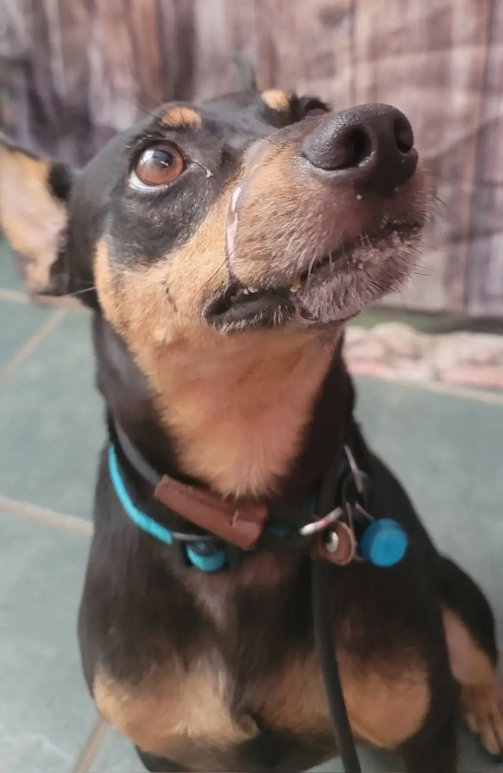 Rosco