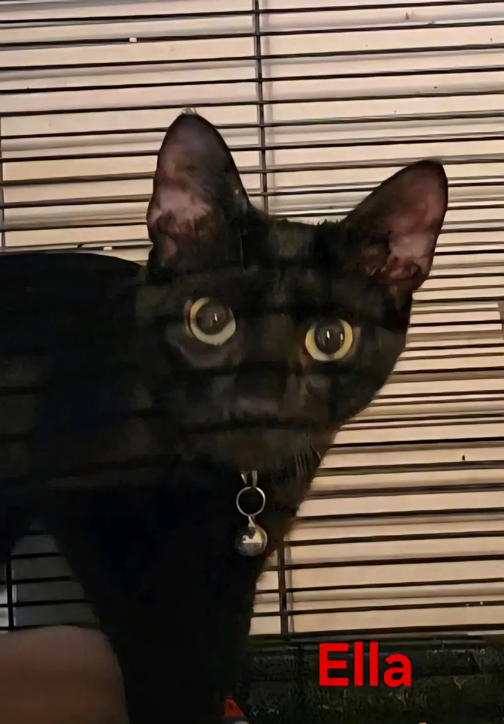 Ella