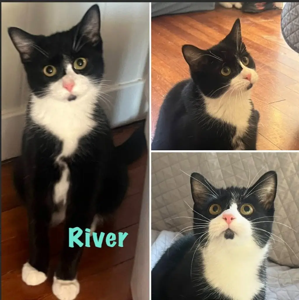 River (Bonded with Gonzo)