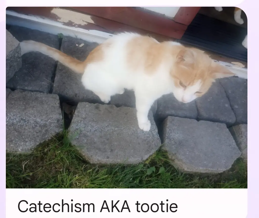 Tootie (Catechism)