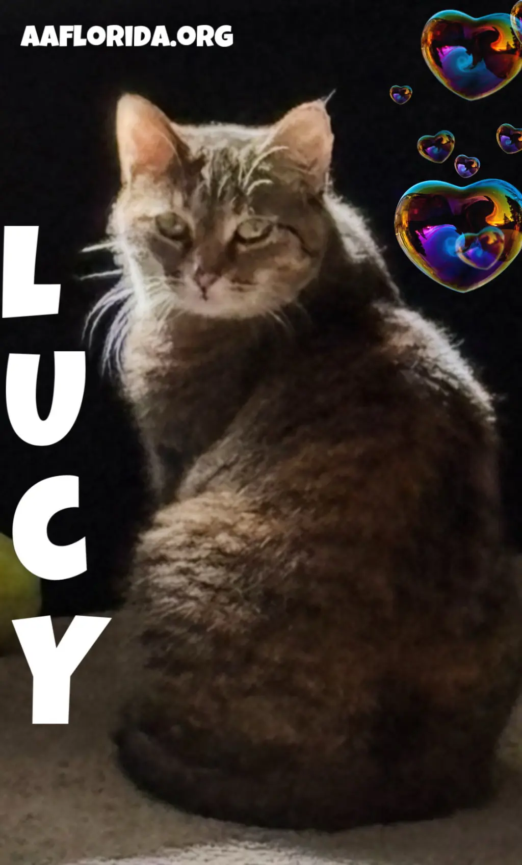 Lucy