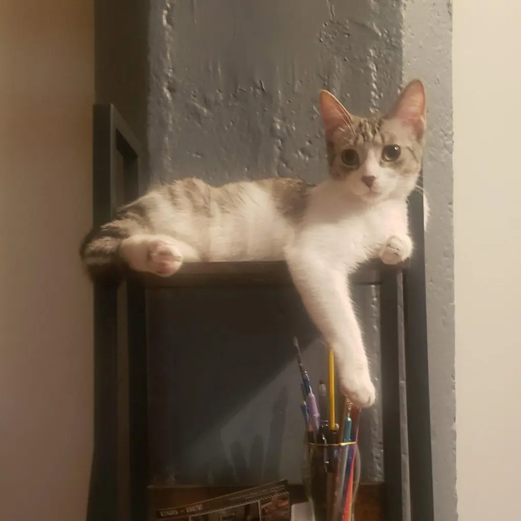 Ricki (bonded with Roy)