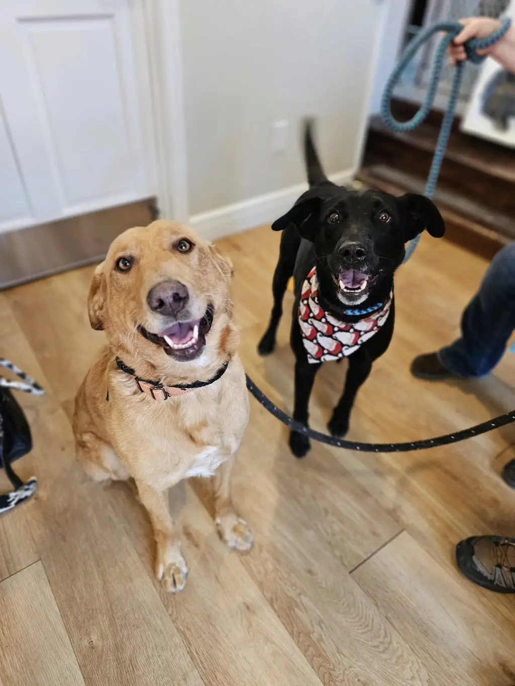 Beckett & Berkley
