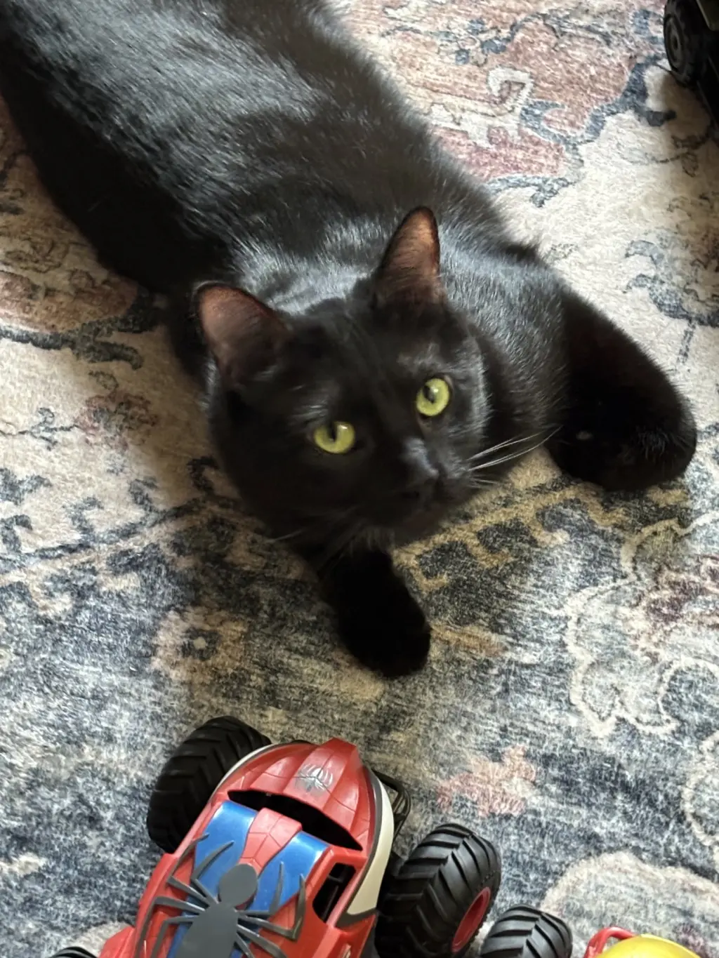 Jasper