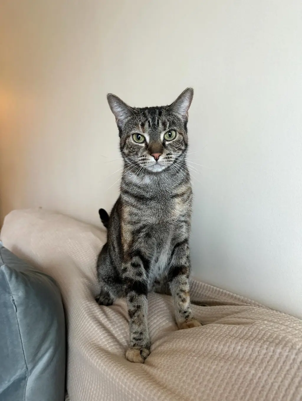 LUNA