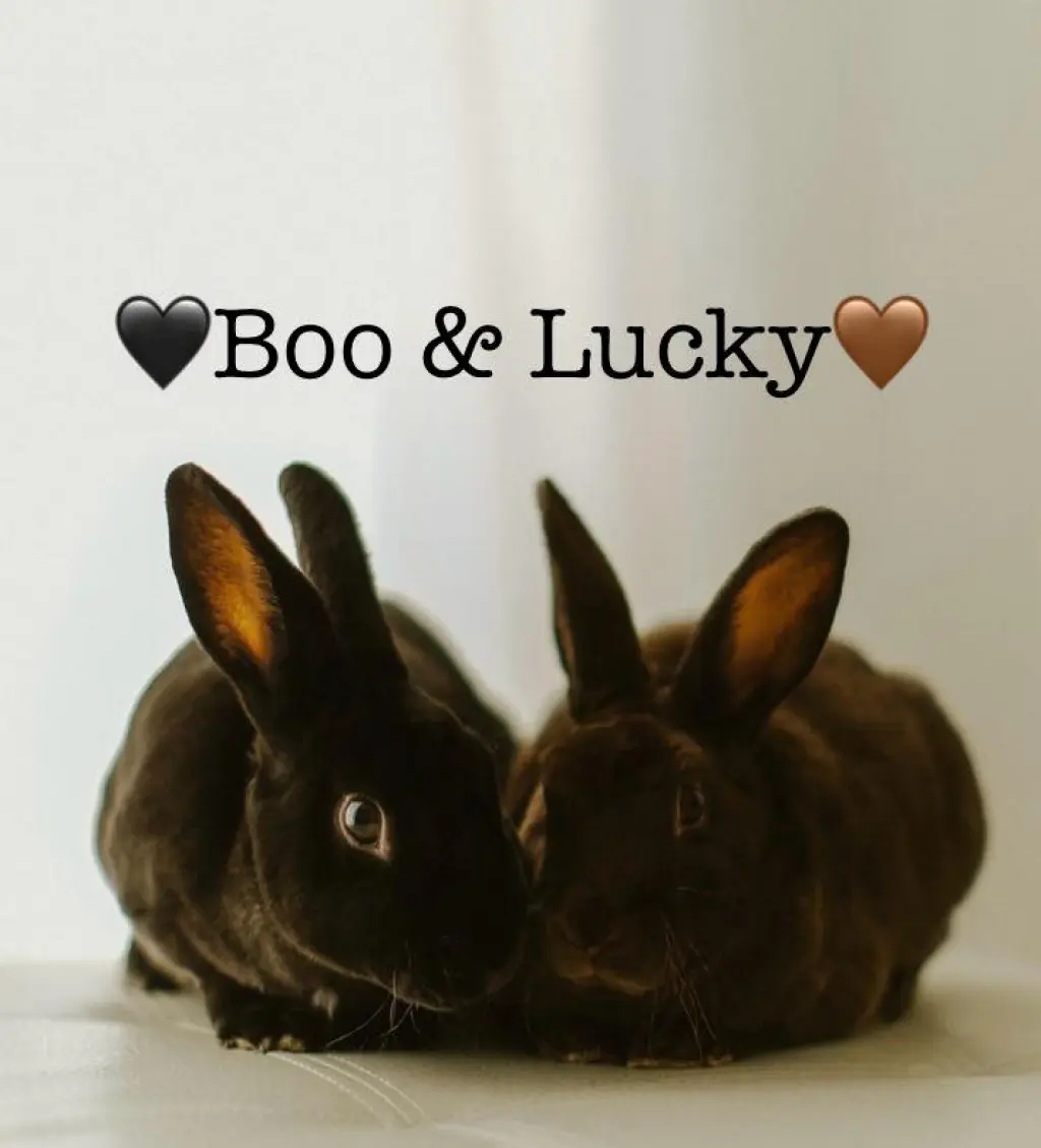 Lucky