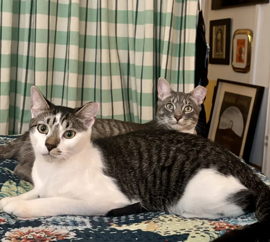 Sweet Cheeks and Toots