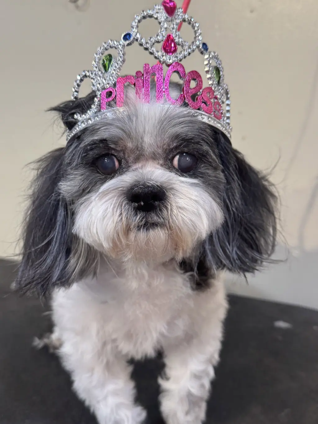 Princess