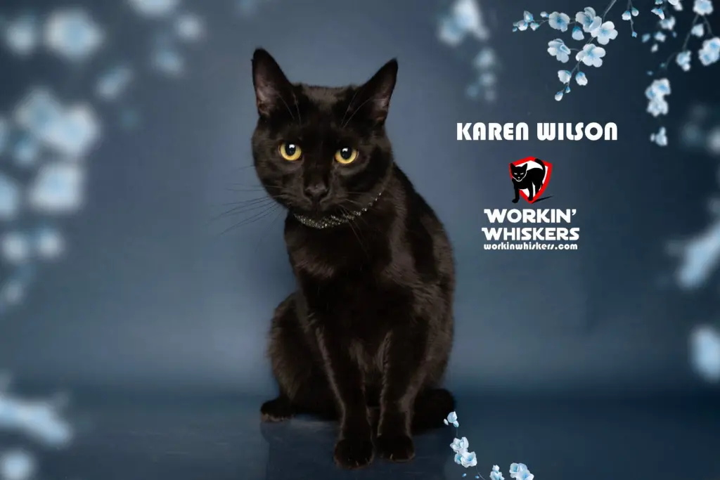 KAREN WILSON
