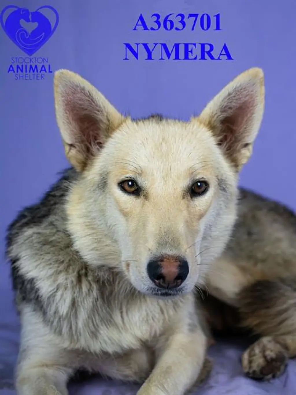 NYMERIA
