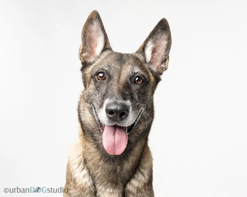 Maggie May - Located in Florida