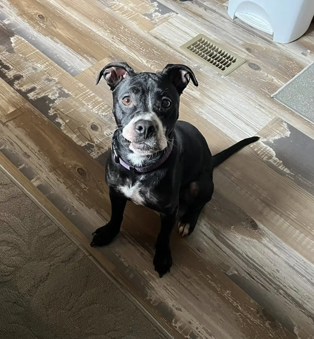 Ruby