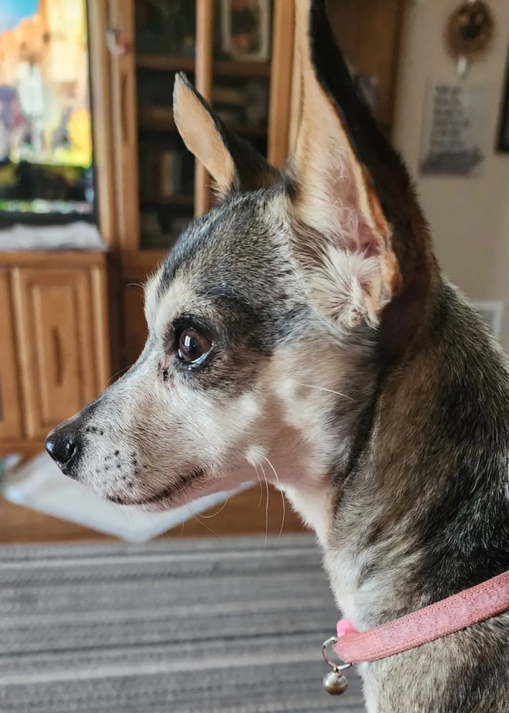 Sammy
