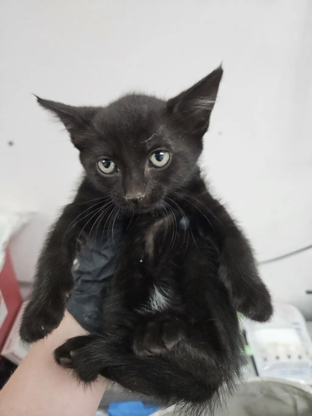 SALEM