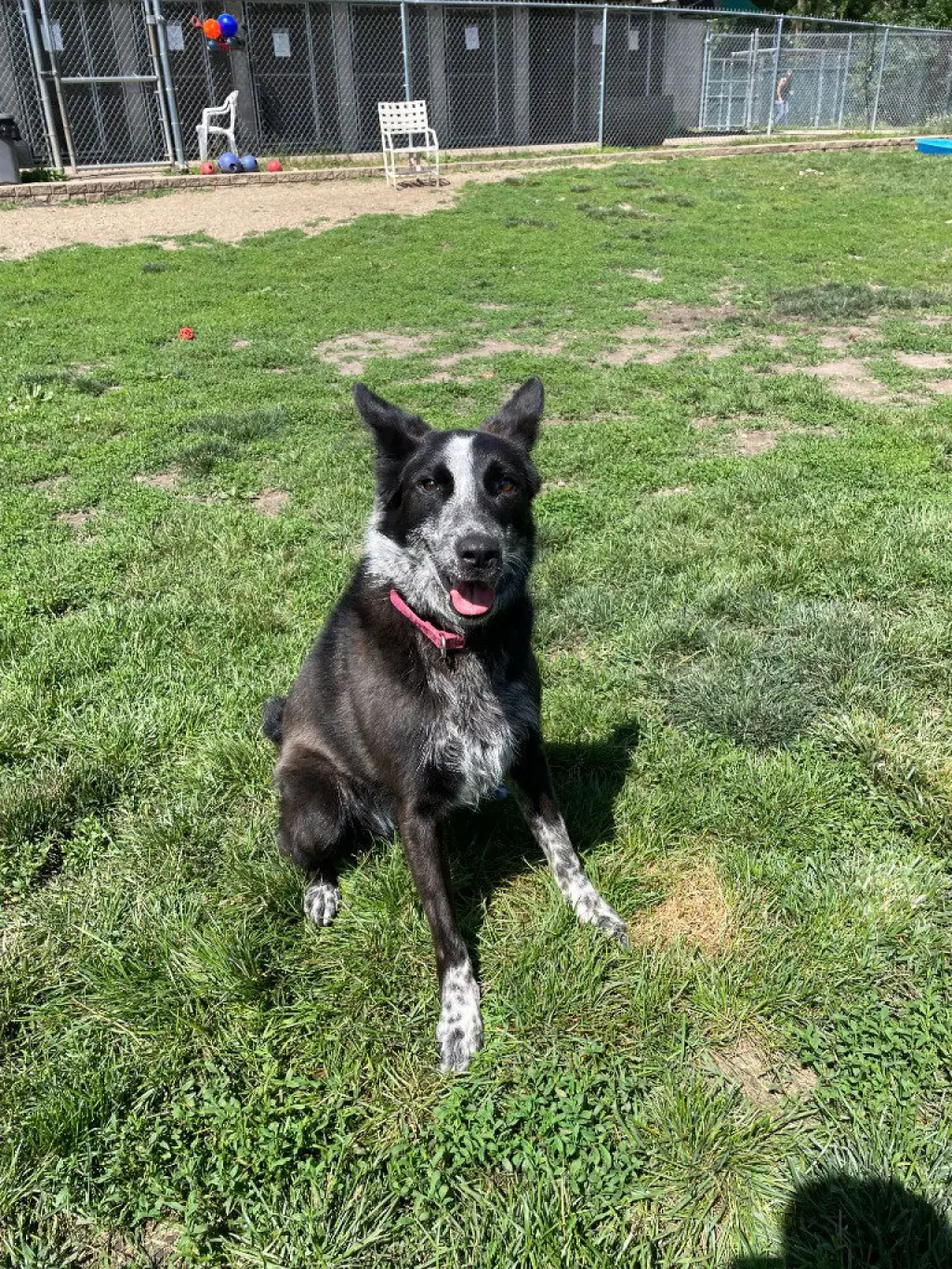 Abby- for sponsorship only