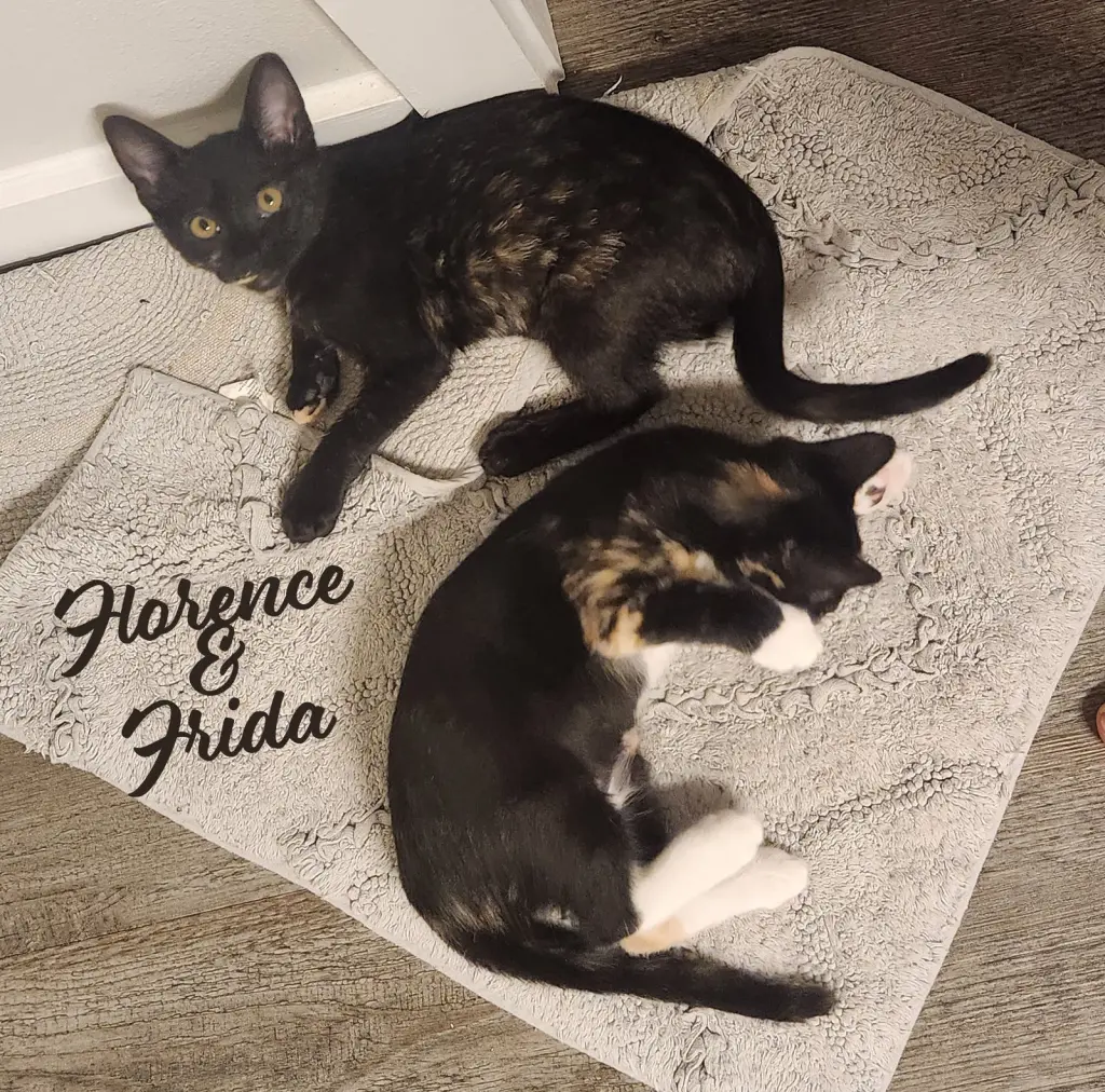 Florence & Frida #bonded-sisters