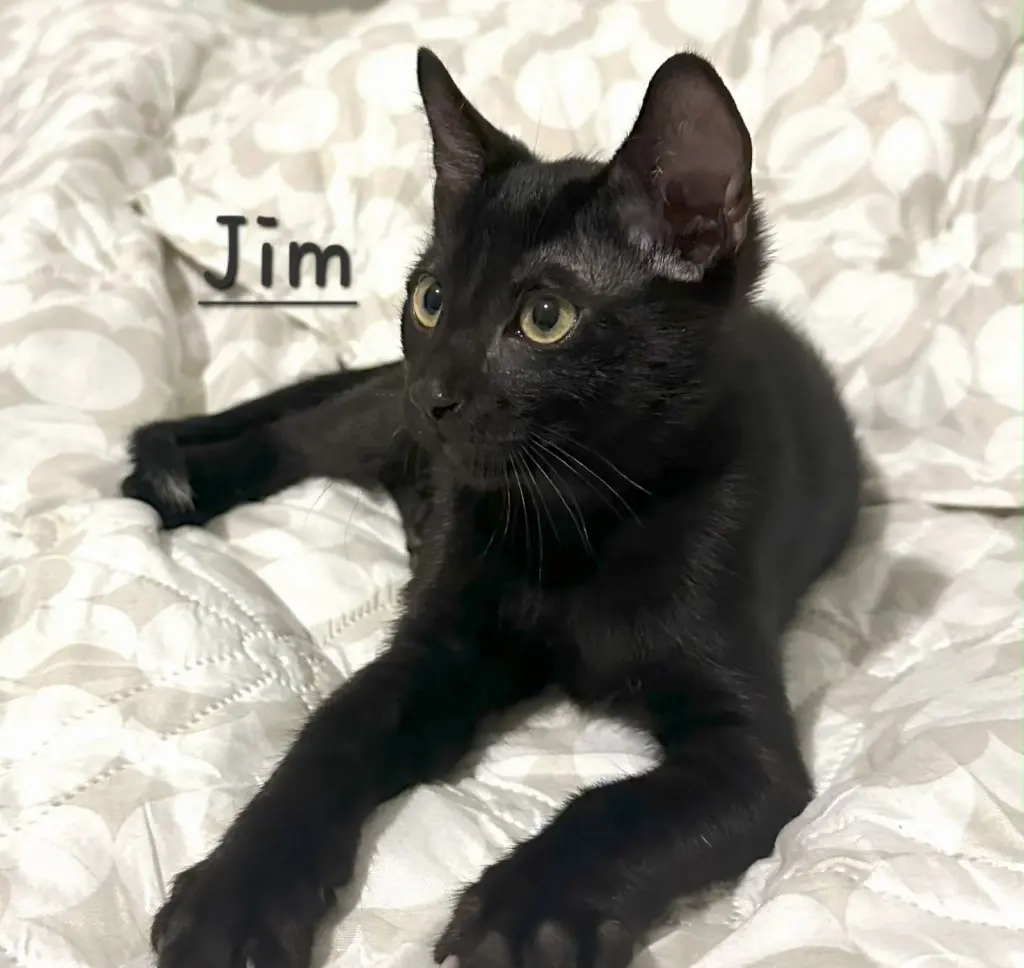 Jim #Beam